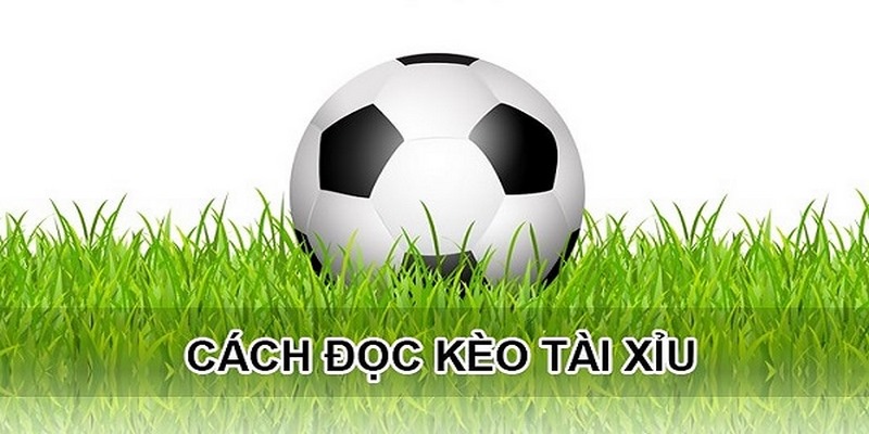 Cách chơi kèo tài xỉu bóng đá